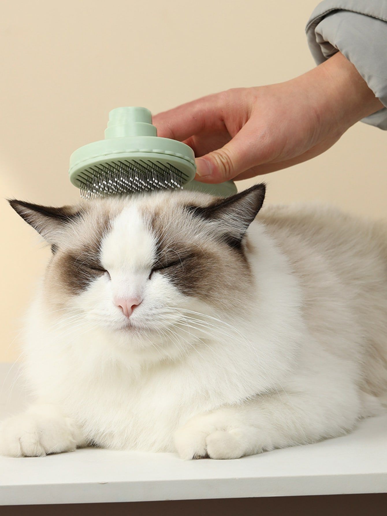 Maanfaat grooming pada kucing